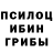 Галлюциногенные грибы Psilocybe Ann Dear